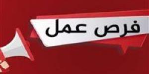 280
      فرصة
      عمل
      للتخصصات
      الفنية
      بالشركة
      الوطنية
      للسكك
      الحديدية..
      موعد
      وطرق
      التقديم - شوف 360 الإخباري