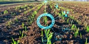 وزير
      الزراعة
      يؤكد
      أهمية
      توظيف
      الذكاء
      الاصطناعي
      في
      الزراعة - شوف 360 الإخباري