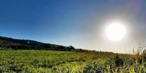 أجواء
      حارة
      نسبيًا
      منتصف
      الأسبوع
      واستقرار
      نسبي
      يوم
      الجمعة - شوف 360 الإخباري