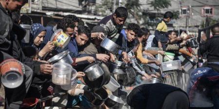 "قبل
      فوات
      الأوان"..
      "الأونروا"
      تدعو
      لتحرك
      عاجل
      لإدخال
      المساعدات
      إلى
      غزة
      وإيقاف
      معاناة
      السكان - شوف 360 الإخباري