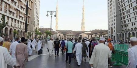 وصول 9 حافلات.. المدينة المنورة تستقبل طلائع حجاج مصر وإندونيسيا - شوف 360 الإخباري