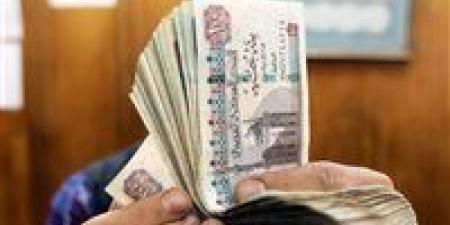 700
      جنيه..تعرف
      على
      قيمة
      الحافز
      الإضافي
      للعاملين
      بالدولة
      وفقاً
      للقانون
      الجديد - شوف 360 الإخباري