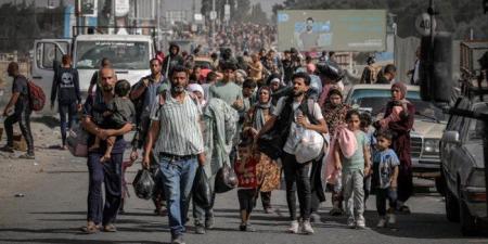المرصد
      الأورومتوسطي:
      الاحتلال
      الإسرائيلي
      يصعد
      التهجير
      والتجويع
      في
      غزة
      تمهيدًا
      لطرد
      جماعي
      للفلسطينيين - شوف 360 الإخباري