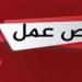 6500
      ريال
      شهريا..
      فرص
      عمل
      بمجال
      المقاولات
      في
      السعودية - شوف 360 الإخباري