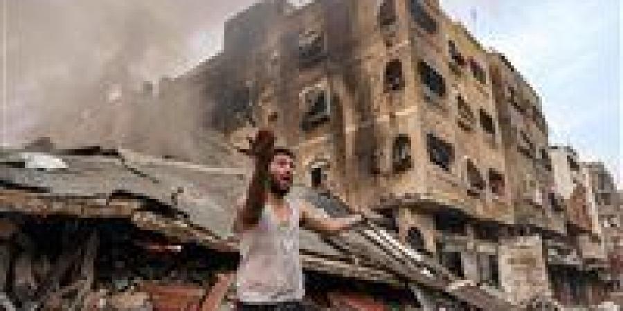 استاذ
      علوم
      سياسية:
      القضية
      الفلسطينية
      تم
      اختطافها
      لمصالح
      بعض
      الدول - شوف 360 الإخباري