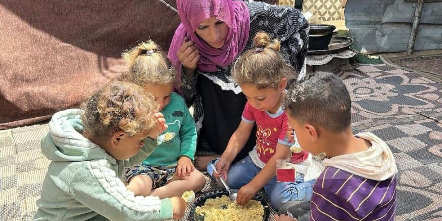 22 دولة تطالب الاحتلال بالسماح بدخول المساعدات إلى غزة بإشراف أممي - شوف 360 الإخباري