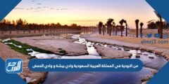 من الاودية في المملكة العربية السعودية وادي بيشة و وادي الحمض