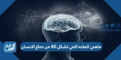 ماهي الماده التي تشكل 80 من دماغ الانسان