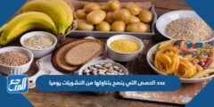 عدد الحصص التي ينصح بتناولها من النشويات يوميا