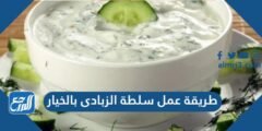 طريقة عمل سلطة الزبادي بالخيار بطريقة صحية تصلح للدايت بـ 5 وصفات مختلفة 2026