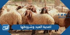اضحية العيد وشروطها