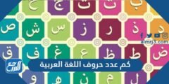 كم عدد حروف اللغة العربية