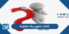 كلمات تنتهي بتاء مفتوحة