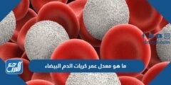 ما هو معدل عمر كريات الدم البيضاء