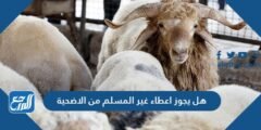 هل يجوز اعطاء غير المسلم من الاضحية