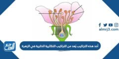 أحد هذه التراكيب يُعد من التراكيب التكاثرية الذكرية في الزهرة