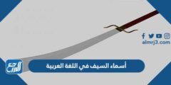 أسماء السيف في اللغة العربية ومعانيها