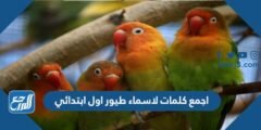 اجمع كلمات لاسماء طيور اول ابتدائي