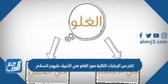 اختر من الإجابات التالية صور الغلو في الأنبياء عليهم السلام