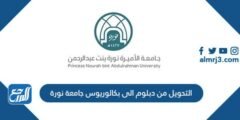 شروط التحويل من دبلوم الى بكالوريوس جامعة نورة 1446