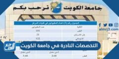 التخصصات النادرة في جامعة الكويت 2024 وشروط الالتحاق بها