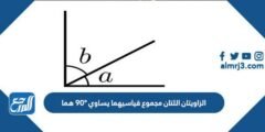 الزاويتان اللتان مجموع قياسيهما يساوي ٩٠° هما..........