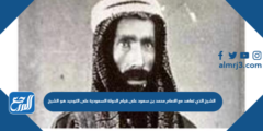 الشيخ الذي تعاهد مع الامام محمد بن سعود على قيام الدولة السعودية على التوحيد هو الشيخ