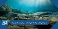 الصخور التي تتكون من المواد التي استقرت في قاع المحيطات والبحيرات