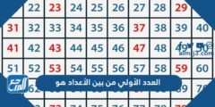 العدد الأولي من بين الأعداد هو