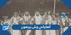 العلياني وش يرجعون ، أصل عائلة العلياني من وين
