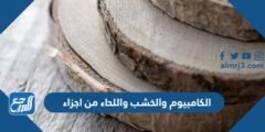الكامبيوم والخشب واللحاء من اجزاء