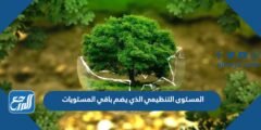 المستوى التنظيمي الذي يضم باقي المستويات