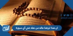 ان هذا لرزقنا ماله من نفاد في أي سورة