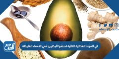 اي المواد الغذائية التالية تصنعها البكتيريا في الامعاء الغليظة
