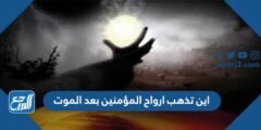 اين تذهب ارواح المؤمنين بعد الموت