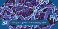 بافتراض ان جميع الجينات السته قد تم نقلها من بكتيريا مانحه