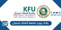 رابط بلاك بورد جامعة الملك فيصل الجديد blackboard kfu