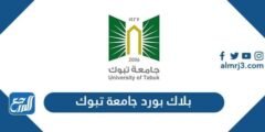 رابط بلاك بورد جامعة تبوك نظام التعليم الالكتروني blackboard tabuk