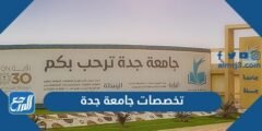 تخصصات جامعة جدة - موقع المرجع