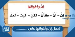 تدخل إن وأخواتها على ...........