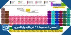 تسمى المجموعة 17 في الجدول الدوري