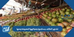 تشتهر الطائف ببساتينها وفواكهها المعروفة ومنها