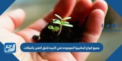 جميع انواع البكتيريا الموجوده في التربه تلحق الضرر بالنباتات