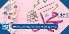 حياة الرسول صلى الله عليه وسلم من ولادته حتى وفاته pdf