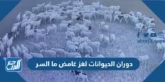 دوران الحيوانات لغز غامض ما السر