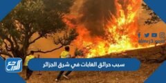 سبب حرائق الغابات في شرق الجزائر 2022