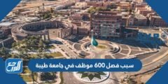 سبب فصل 600 موظف في جامعة طيبة