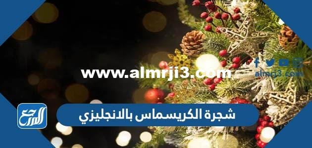 ما اسم شجرة الكريسماس بالانجليزي