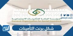 شكل برنت التأمينات الاجتماعية بالعربي والانجليزي