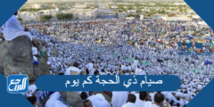 صيام ذي الحجة كم يوم